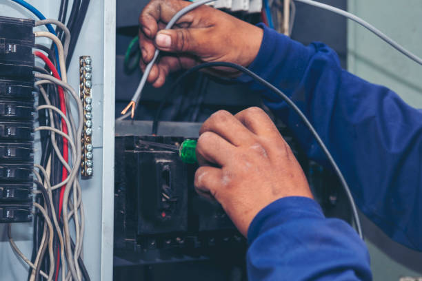 Best Electric Panel Repair  in Basalt, CO